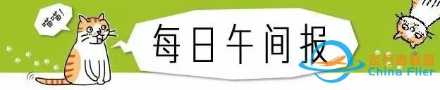 貓狗是兩種個性迥異的寵物，但在這一點上卻能達成共識丨每日午間報-3717